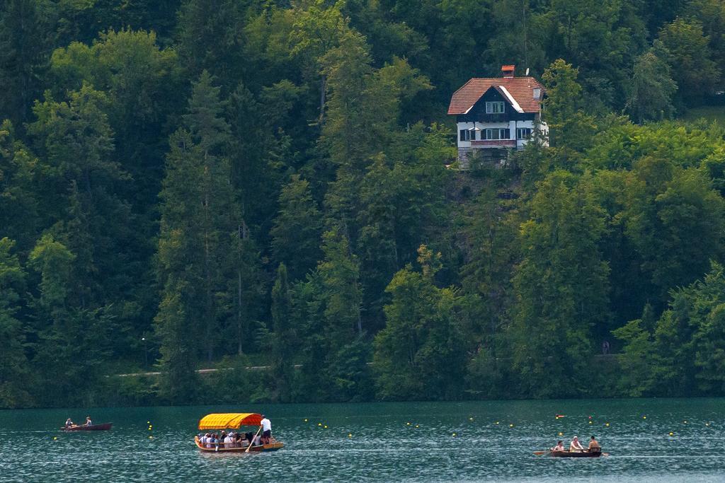 Sovica Villa Bled Bagian luar foto